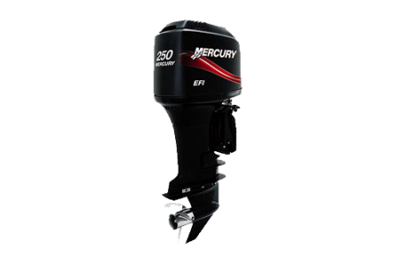 Mercury 250 (XL, CXL) Saltwater EFI